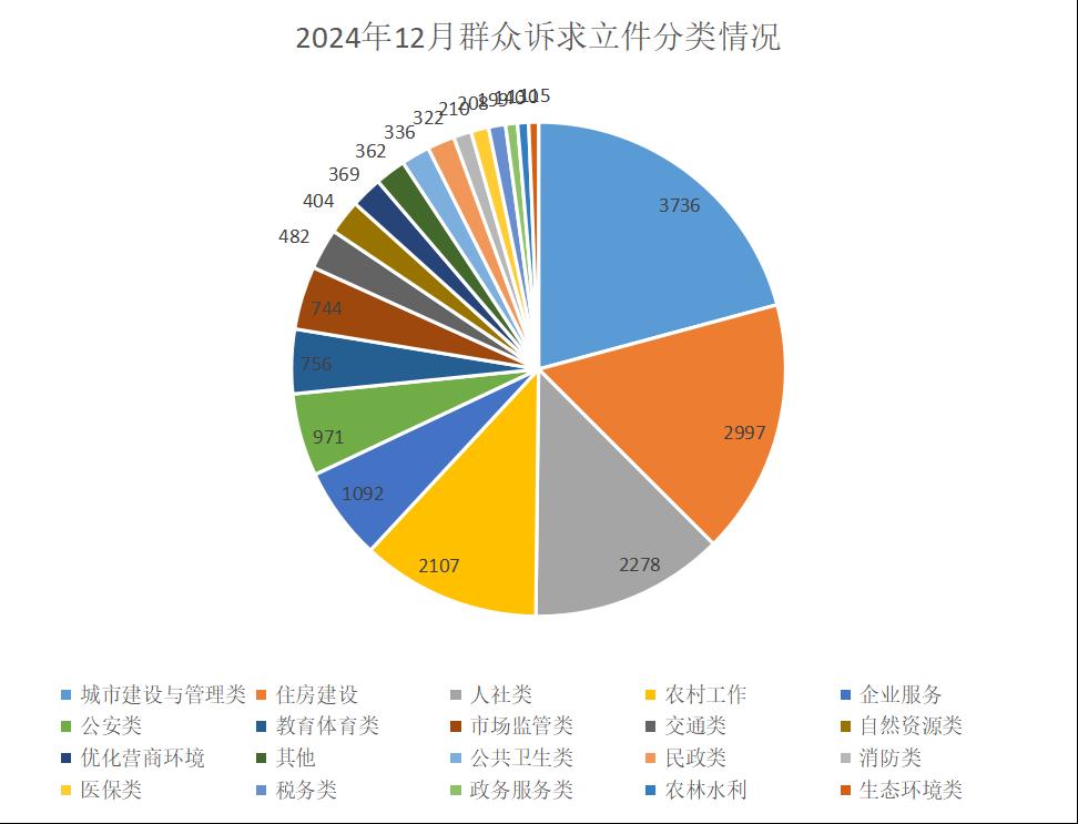 2024年12月群众诉求立件分类情况